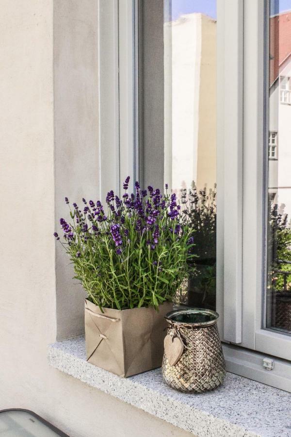 Weinquartier Naumburg Apartamento Naumburg  Exterior foto